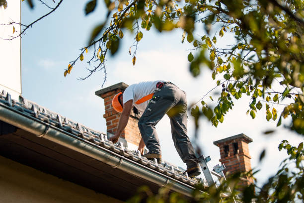 Best Residential Roof Replacement  in Collinsville, VA