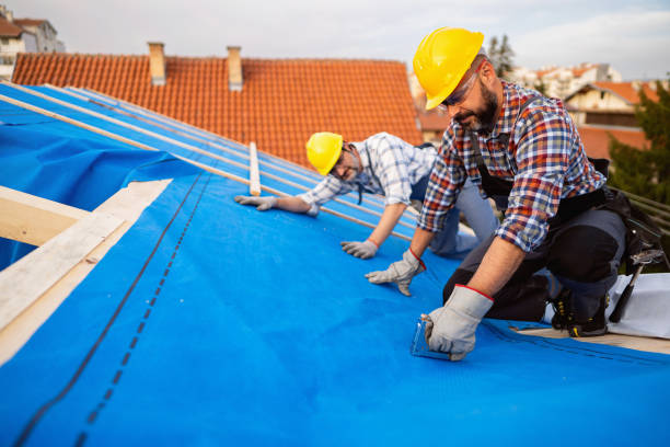 Reliable Collinsville, VA Roofing Contractor Solutions