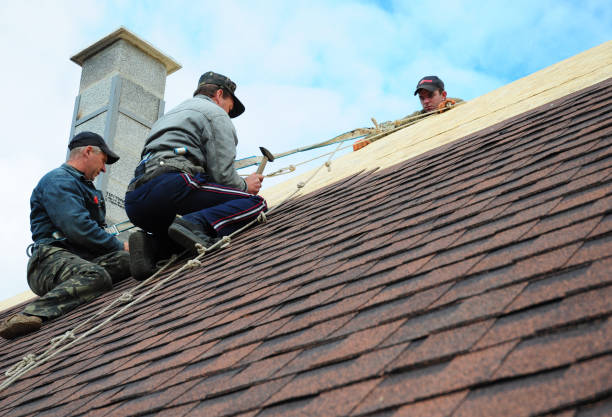 Reliable Collinsville, VA Roofing Contractor Solutions