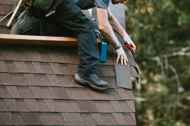 Best Roof Maintenance Services  in Collinsville, VA