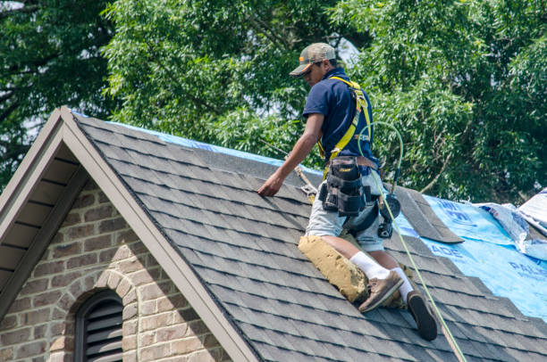 Best Roof Repair Services  in Collinsville, VA
