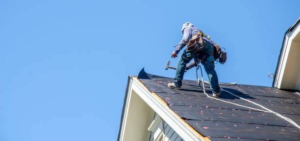Best Local Roofing Companies  in Collinsville, VA